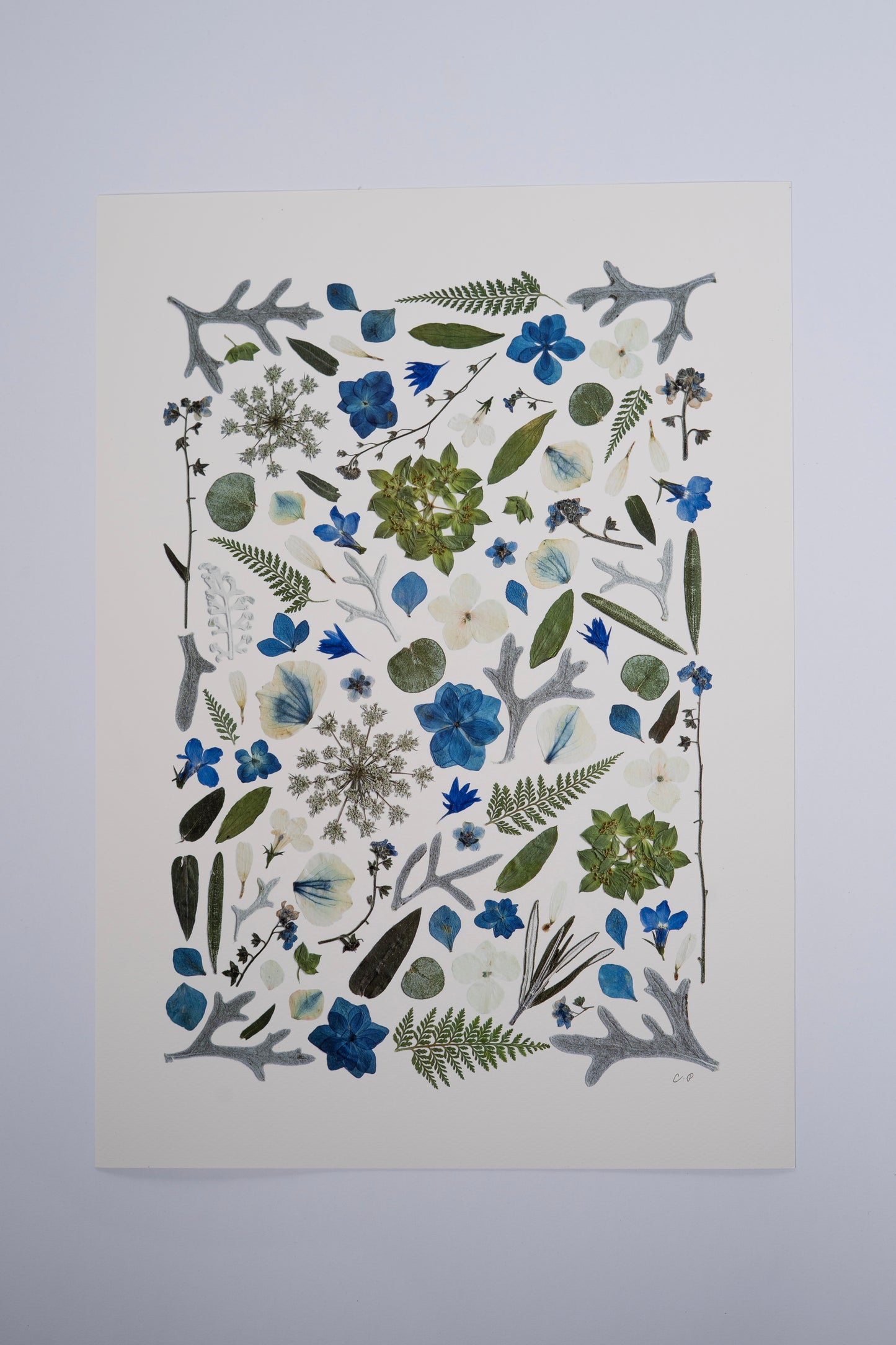 A3 Pressed Flower Print - Blue/Green