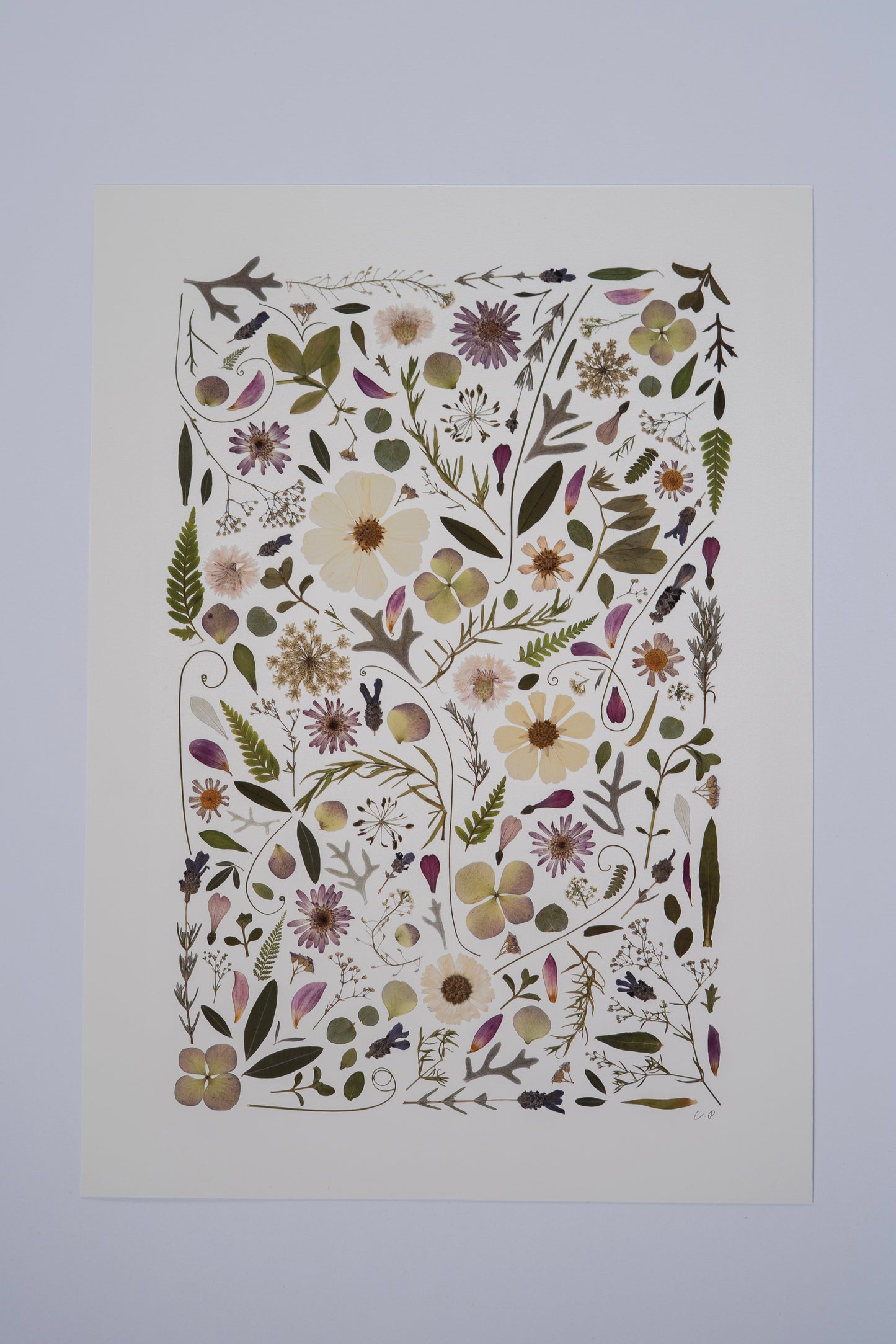 A3 Pressed Flower Print - Pink & Green