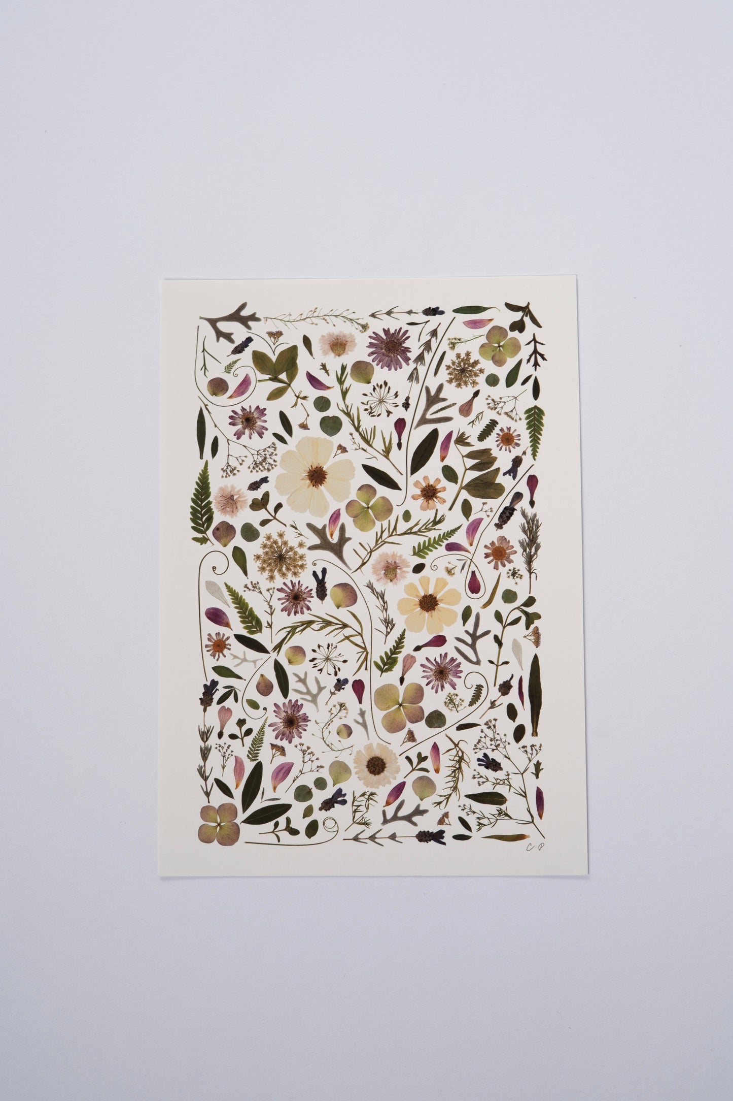 A5 - Pink & Green Print