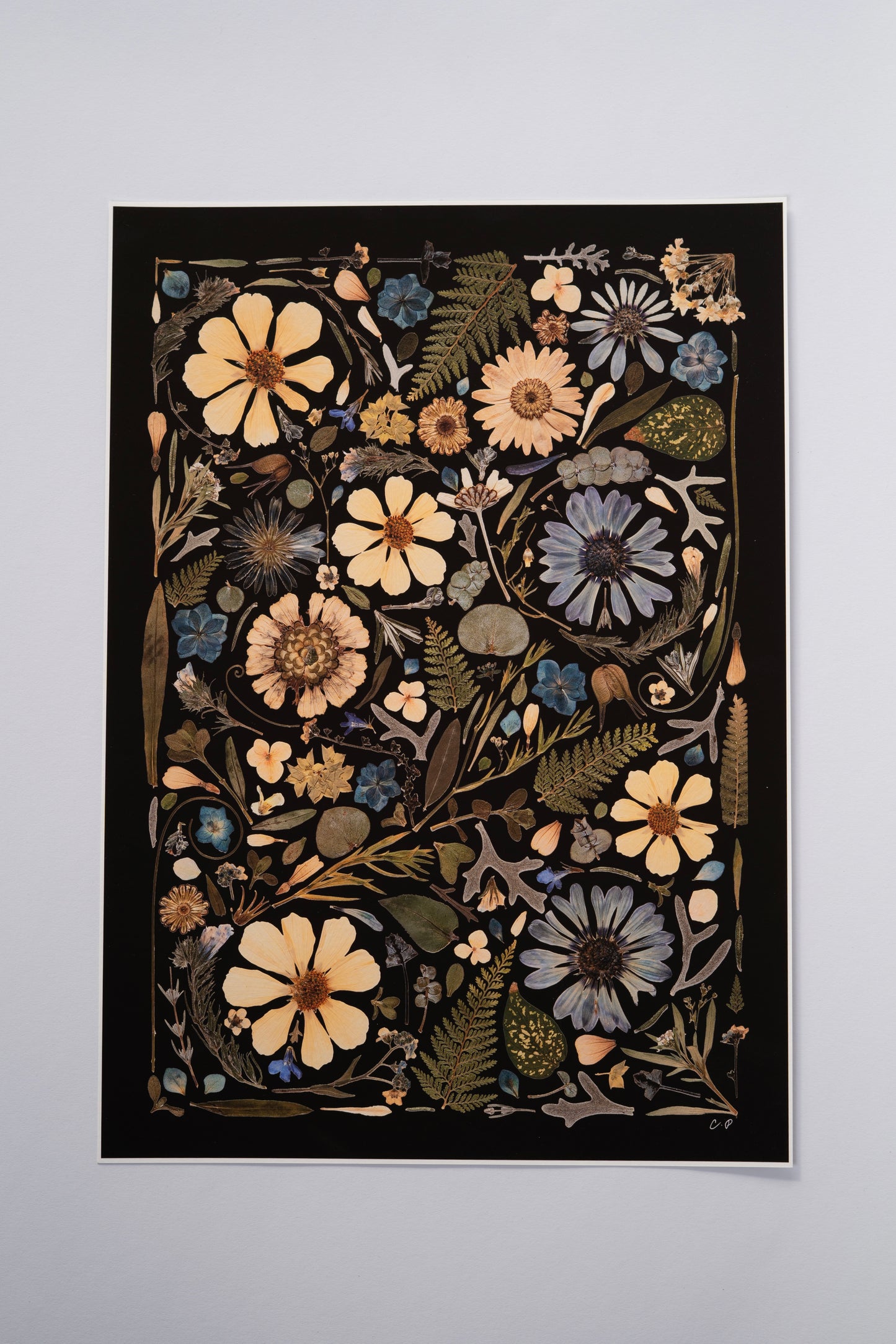 A3 Pressed Flower Print - Blue & Green on Black