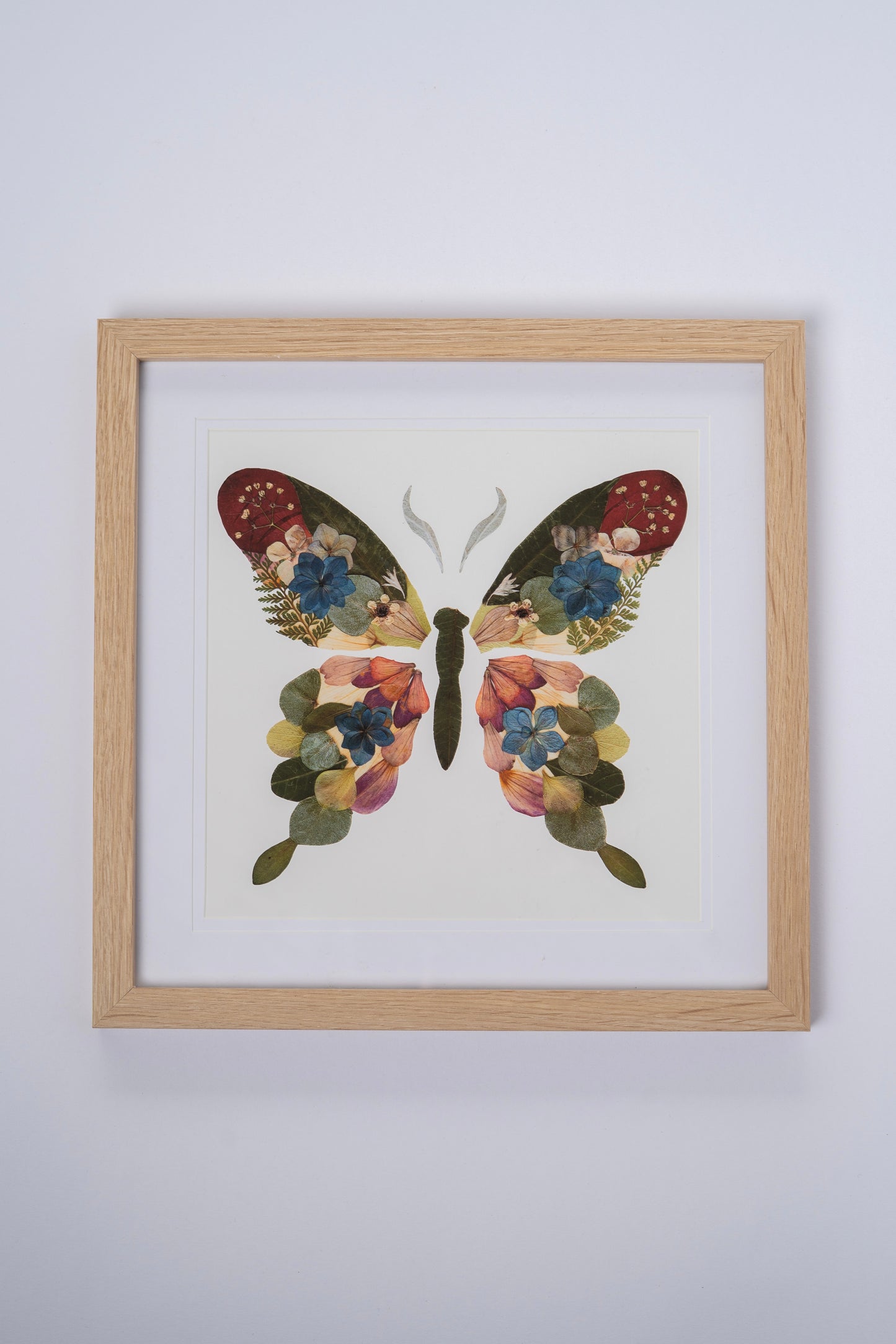 Pressed Flower Butterfly Framed
