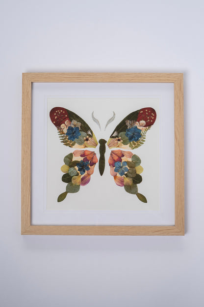 Pressed Flower Butterfly Framed