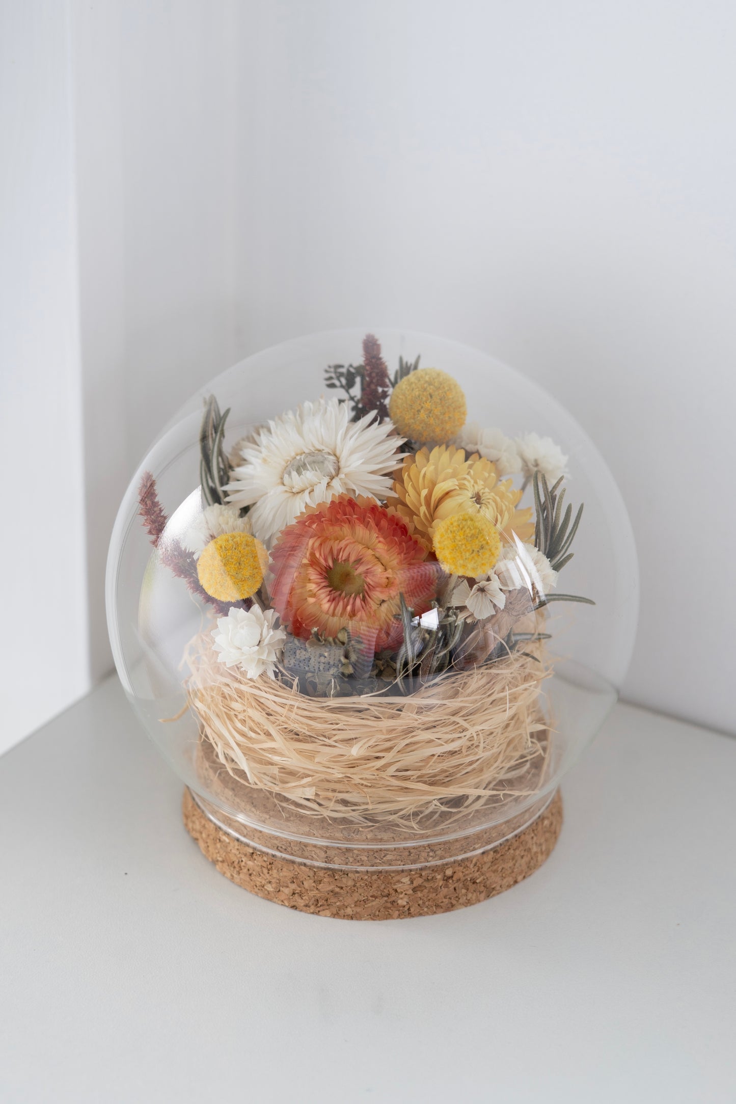 Flower Dome - Sunshine