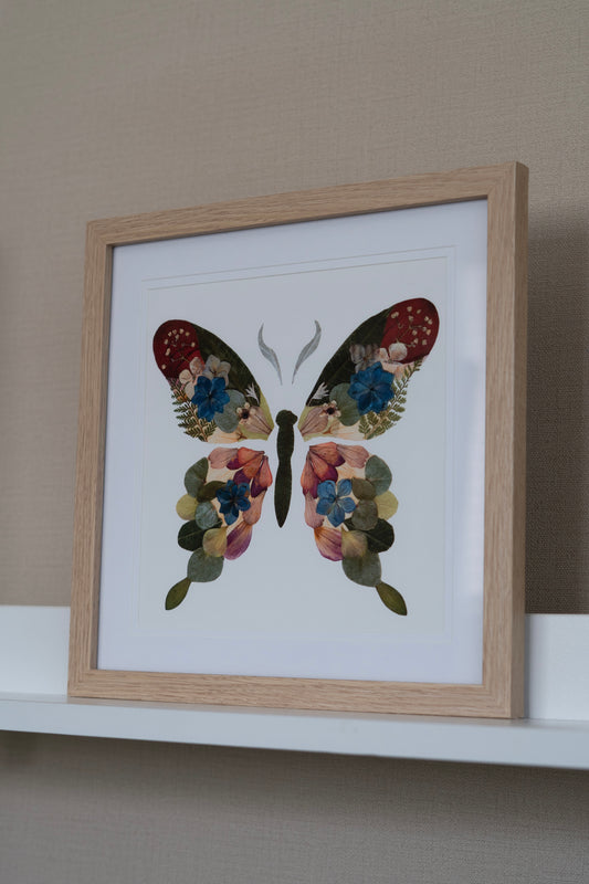 Pressed Flower Butterfly Framed