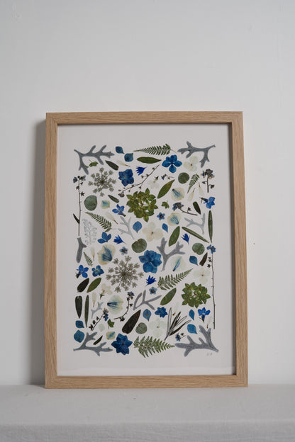 A3 Pressed Flower Print - Blue/Green